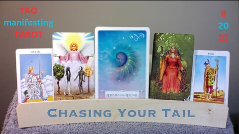 CHASING YOUR TAIL/TALE