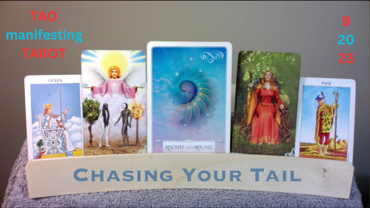 CHASING YOUR TAIL/TALE