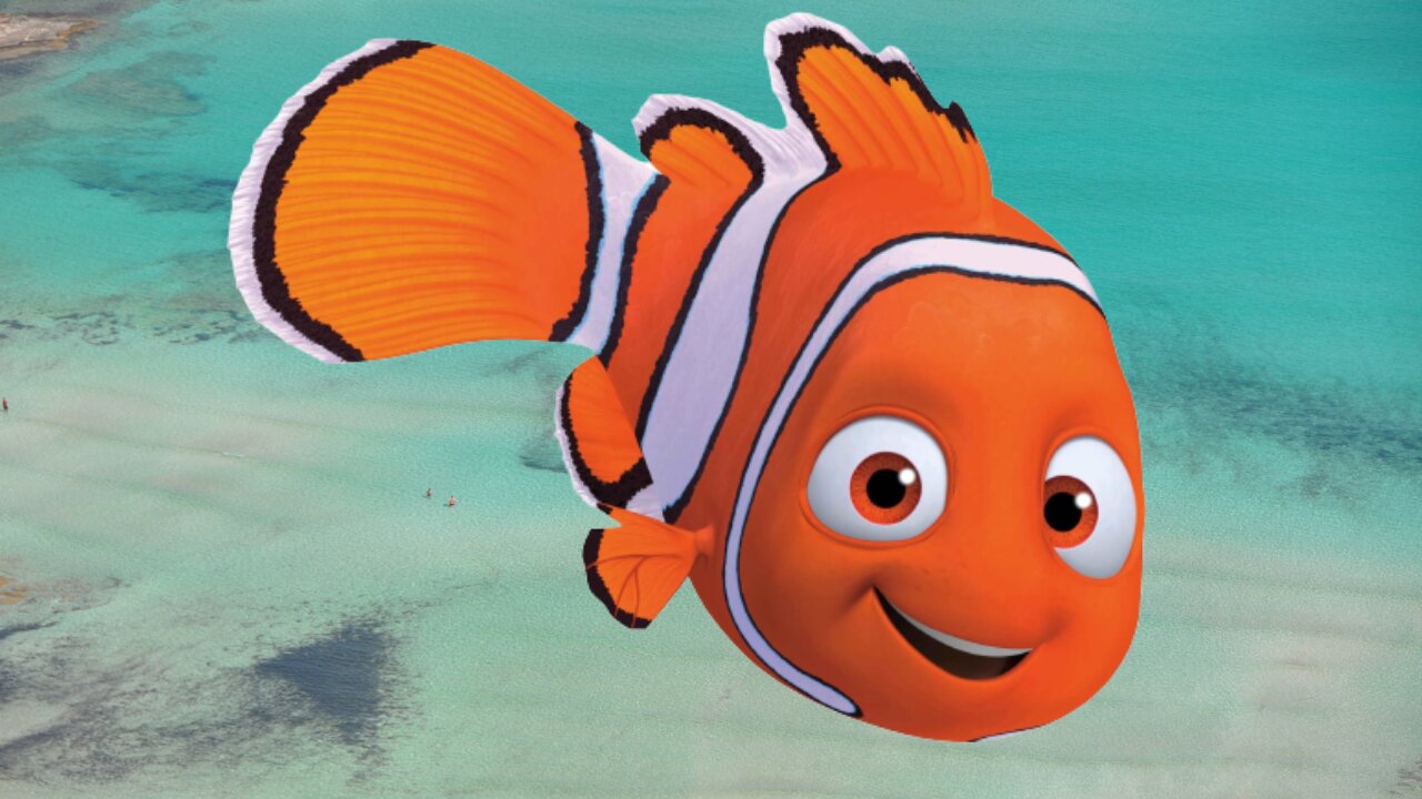 Nemo of the Movie in real life