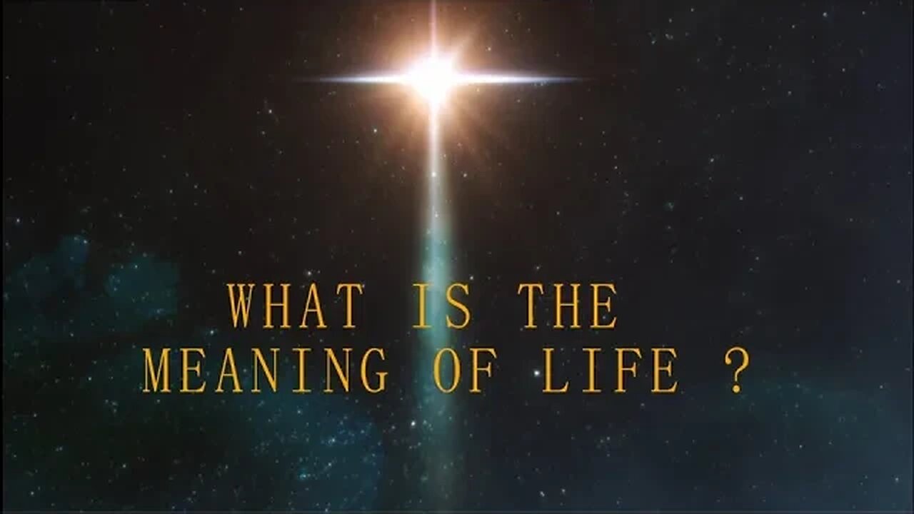 What is the meaning of life? By Rolv Leirro