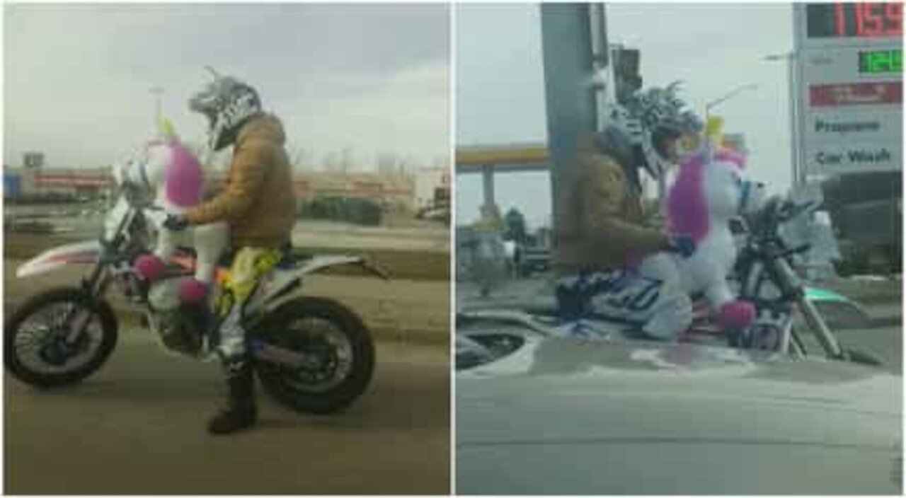 Guida la moto con un unicorno peluche