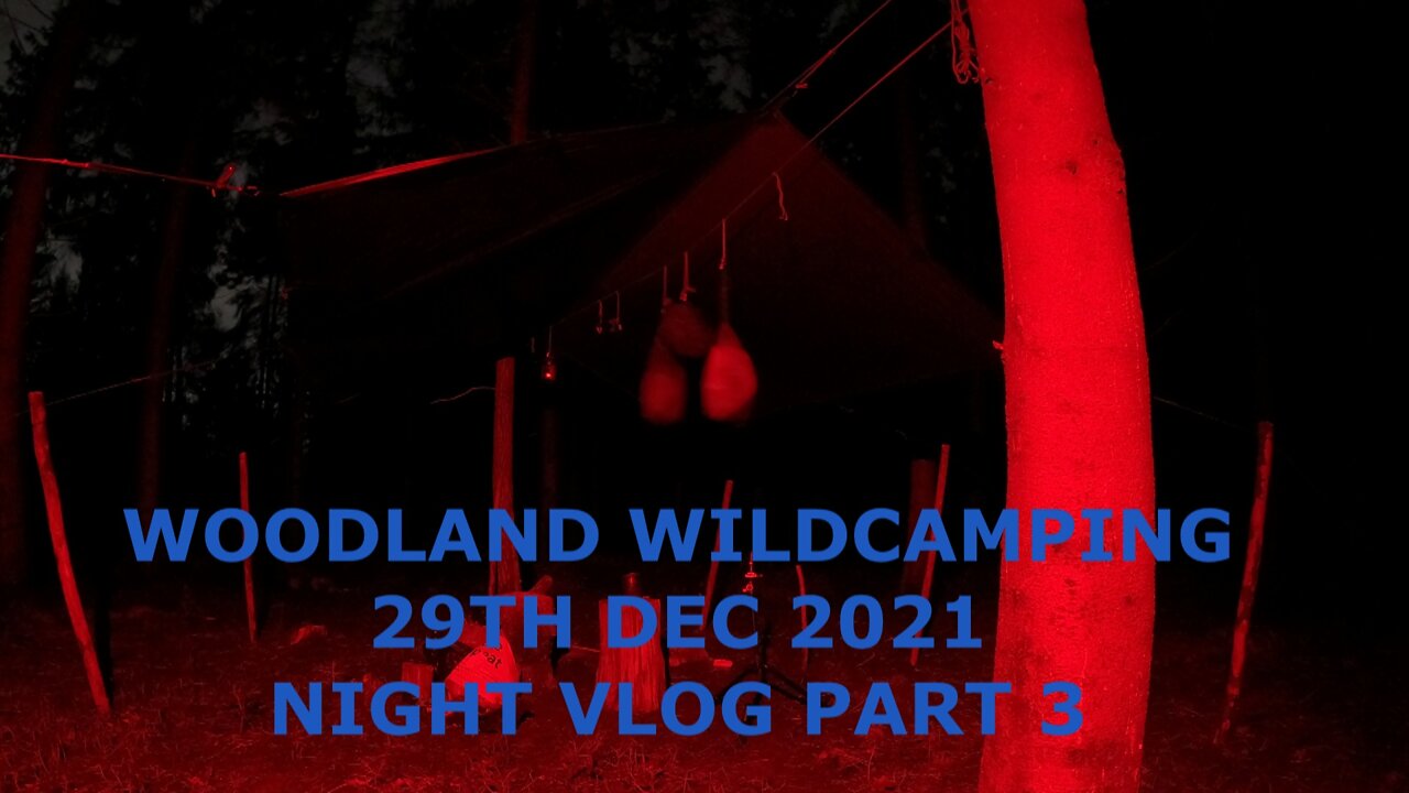 Second part of a night vlog. Woodland wildcamping.