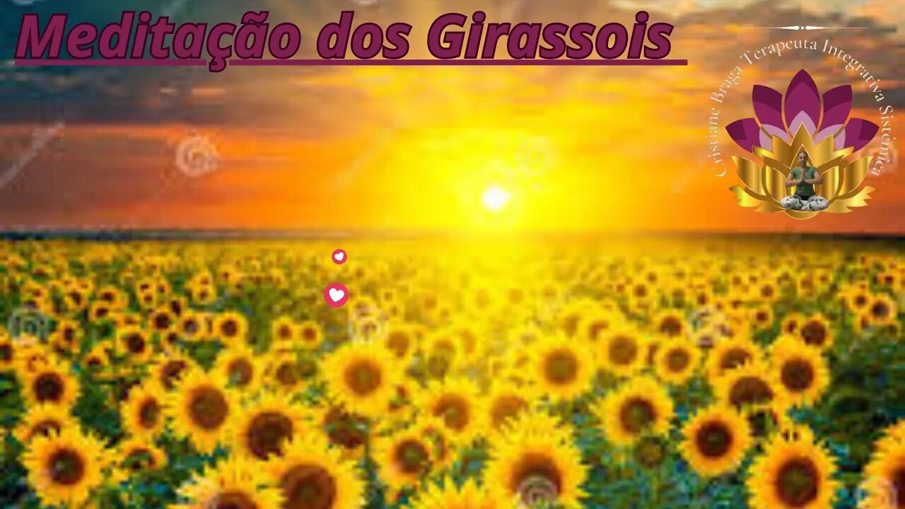 Meditação Girassol Amarelo