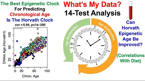 Horvath Epigenetic Age: A Weak Spot, But I Have A Plan (14-Test Analysis)