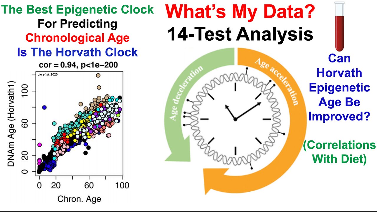 Horvath Epigenetic Age: A Weak Spot, But I Have A Plan (14-Test Analysis)