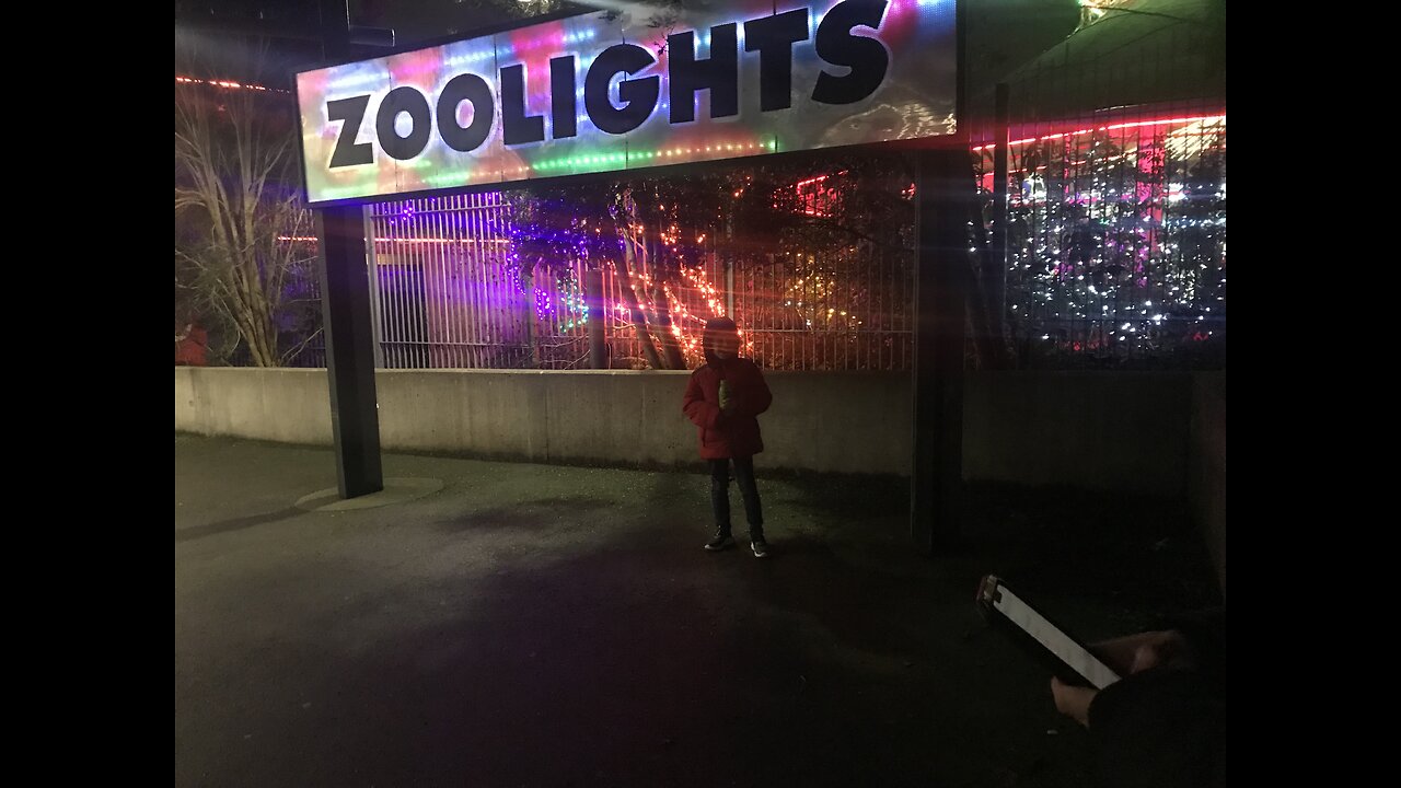 Zoo lights !!!!!🤩😊🤪👍🏻😄