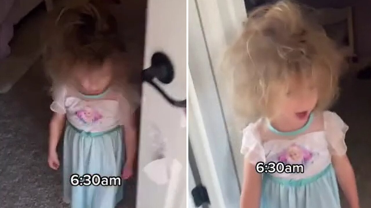 Little Girl Dressed As A Princess Wakes Up With Crazy Hair