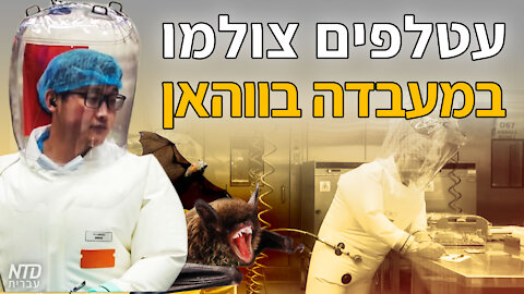 עטלפים צולמו במעבדה בווהאן