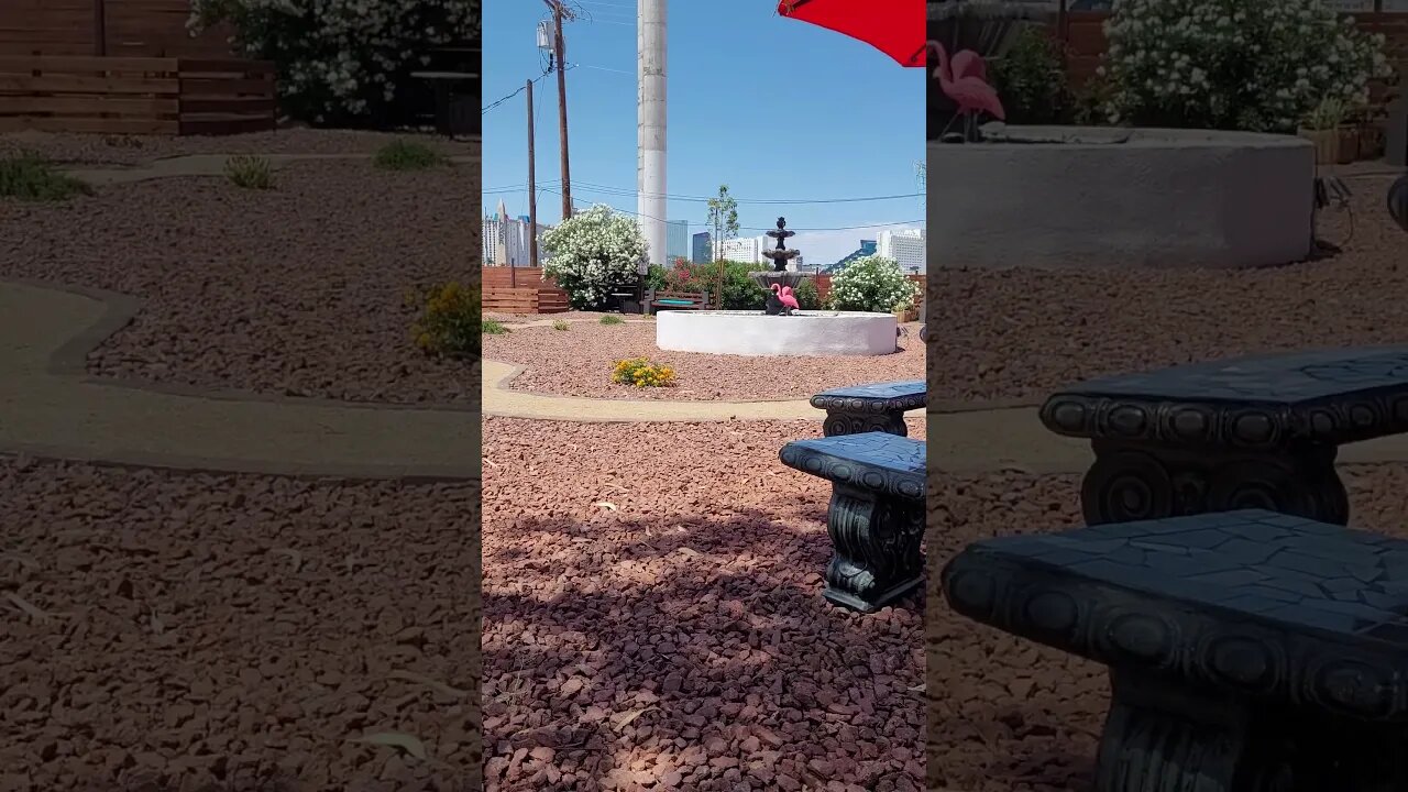 The Las Vegas Strip Has a Zen Garden