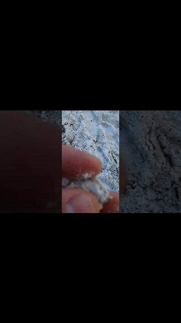 gold detecting #shorts #youtubeshorts #beautiful
