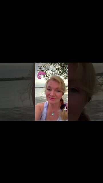 NARCISSISTS ARE CHAMELEONS! #narcissist #narcissism #relationships #reels