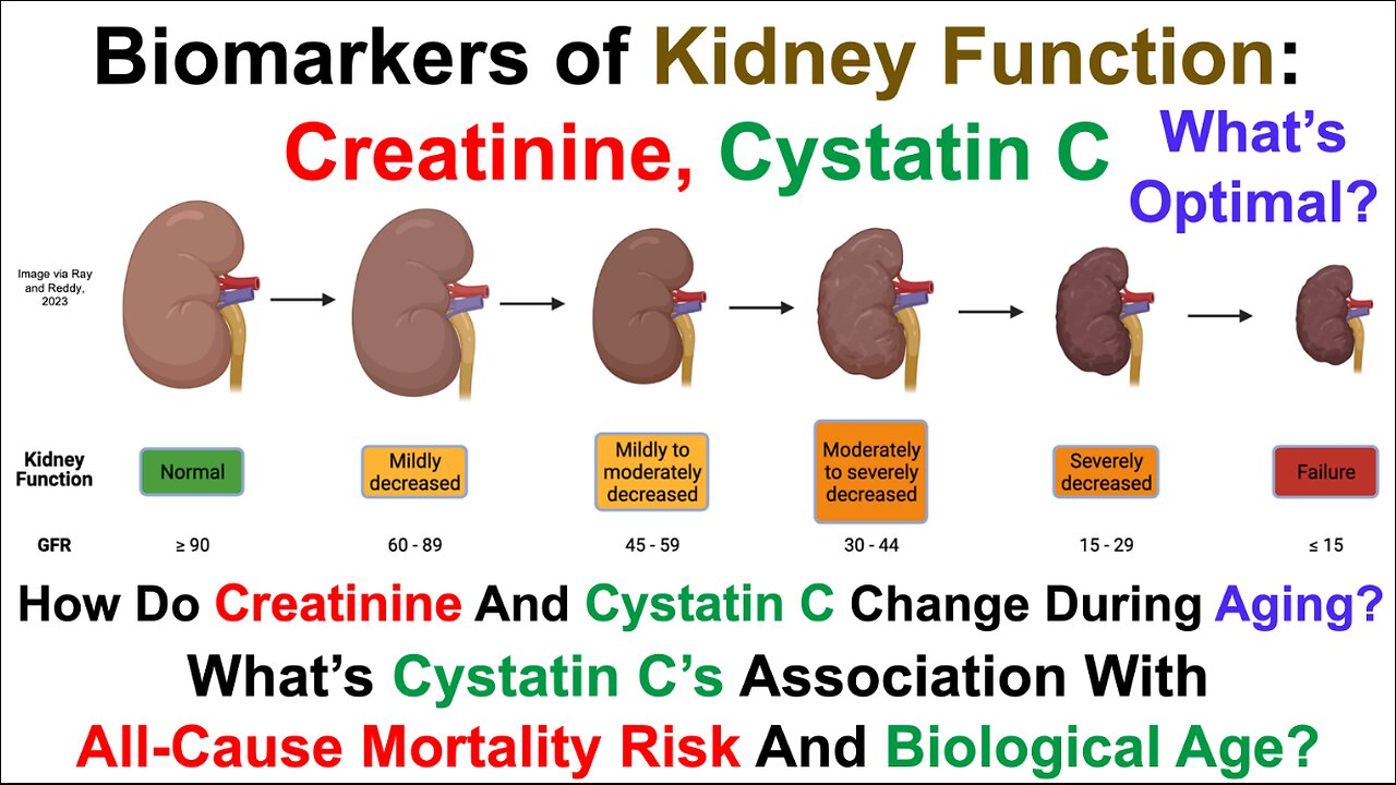 Biomarkers Of Kidney Function: Creatinine, Cystatin C, What's Optimal?