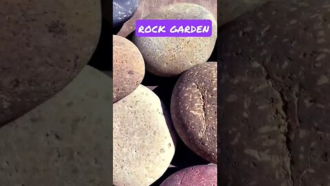 Simply the best #rockgarden #dreamer #seastones #seasidefinds #oceansounds #gogoa #asmr #calming