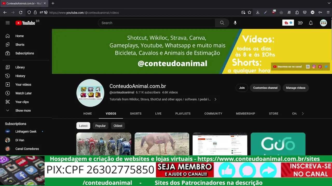 Conheçam meu canal principal @conteudoanimal, se inscrevam