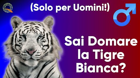 🐅 Sai domare la tigre bianca?