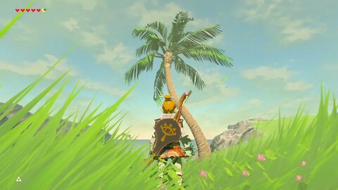 Breath of the Wild Master Mode 32