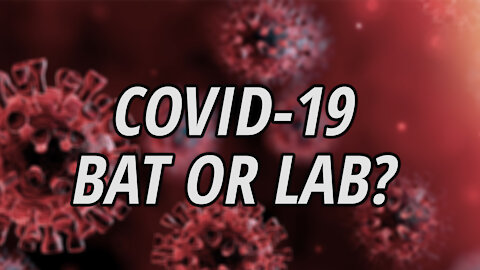 The Truth about the Covid-19 Outbreak | Bat or Lab?