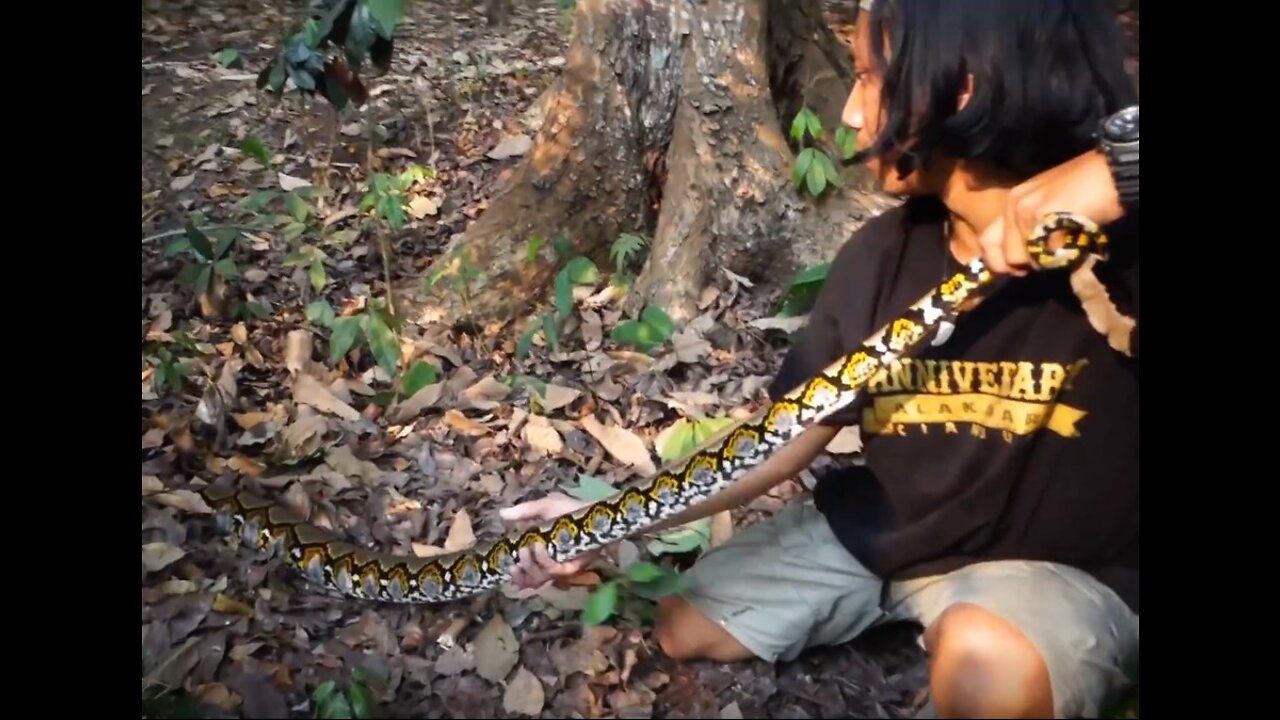 playing with beautiful pythons, meeting rare flowers