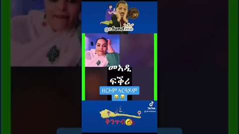 37 Tiktok Elalat Fikri