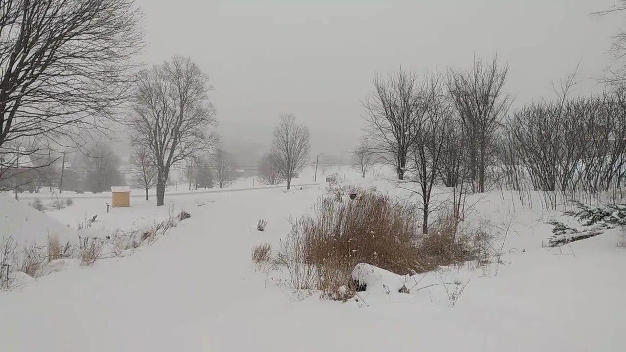 2/25/22 Snowstorm Looking Towards The Bicentennial Park