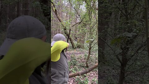 90LBS Saluki Horn Bow, 888grain Bamboo Arrow, Primitive set up