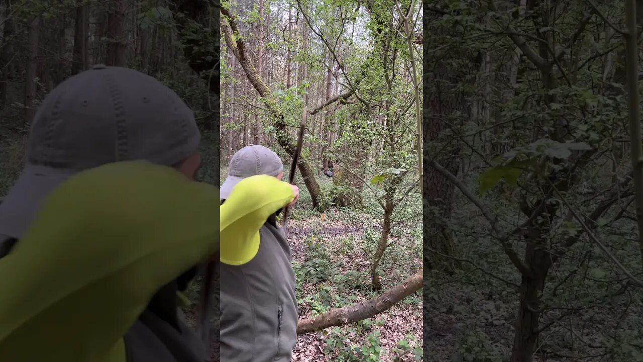 90LBS Saluki Horn Bow, 888grain Bamboo Arrow, Primitive set up