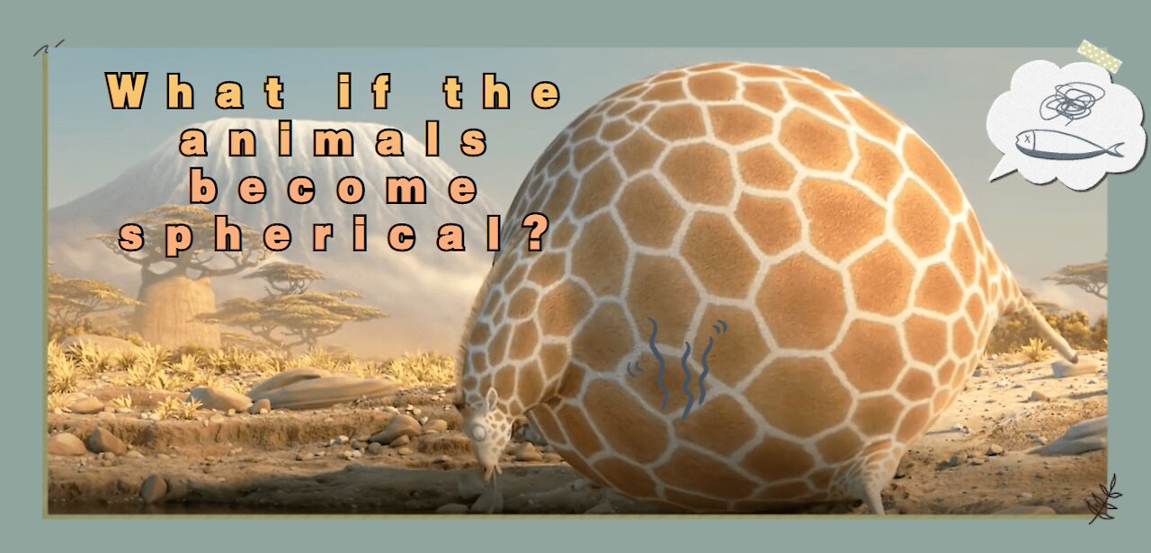 What if the animals become spherical?
