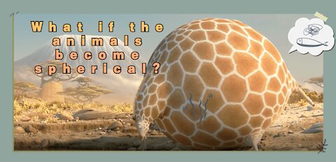 What if the animals become spherical?