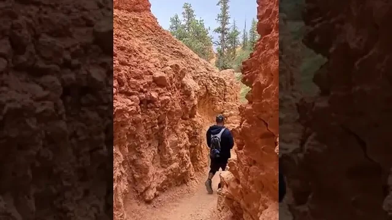 Bryce Canyon NP | Hiking the Navajo Loop & Queen's Garden Trail