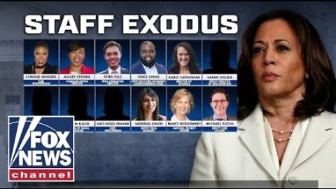 'The Five' tears into Kamala's staff exodus