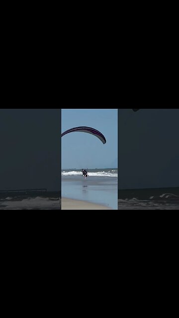 FLY HIGH! My Robust Friend 🥲 #shorts