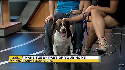 Rescues in Action Jan. 6 | Tubby needs a new home