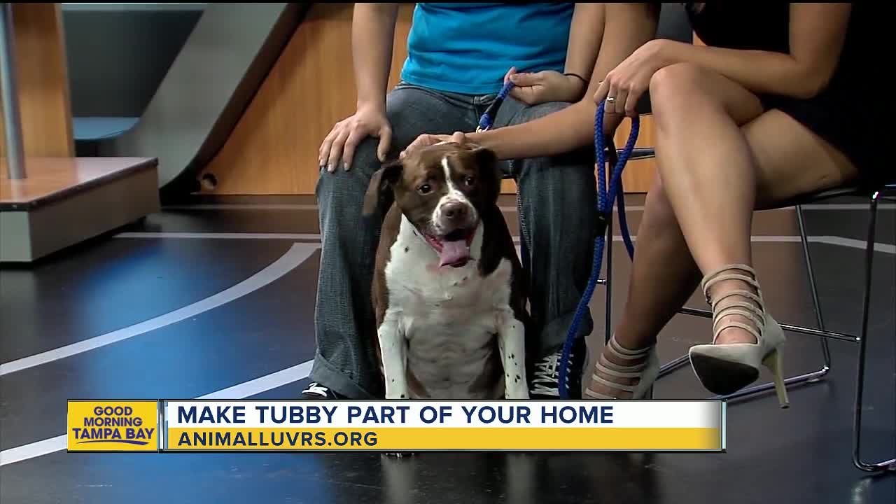 Rescues in Action Jan. 6 | Tubby needs a new home