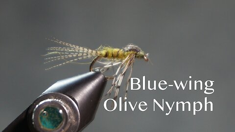 Blue-wing Olive Nymph