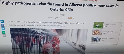 Dark Times and Food Shortages on the Horizon