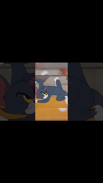 work hard,play hard? Right?