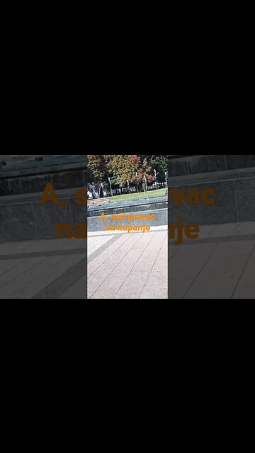 ptičiji summer week