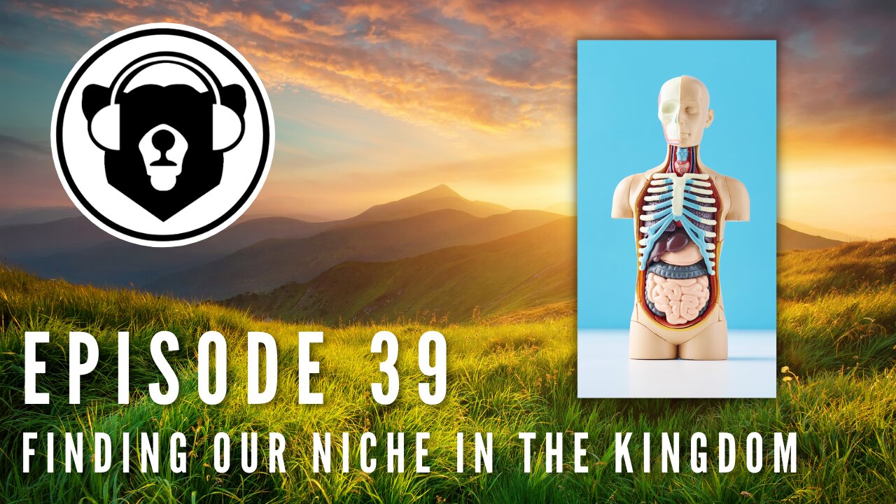 Bearing Up Episode 39 - Finding Our Niche In The Kingdom