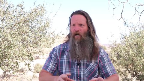 Nathaniel-Harlan | Freedom in Common Law: Going Deeper