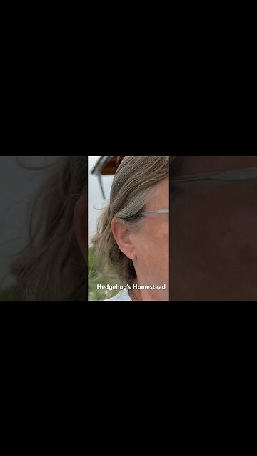 What to do if a goose attacks