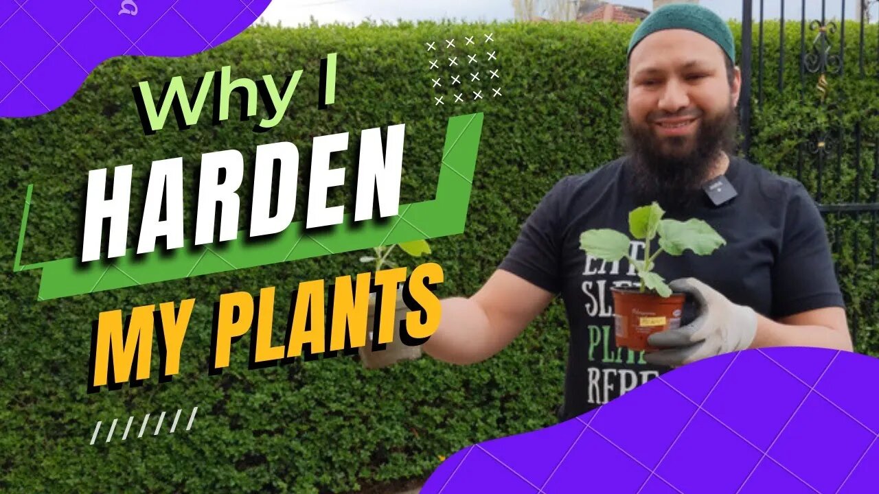 Hardening Off Plants For Planting Outside