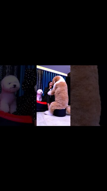 Once a baby always a baby! #shorts #shortsfeed #clips #shortvideo