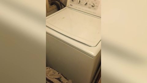 A Man Sings “Get Down The Fiddle” To The Washing Machine Beat