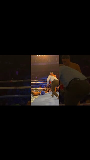 HIGHLIGHT REEL KO IN 30 SECONDS 🏠