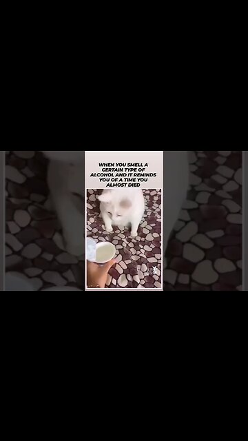 We All Have That One #funny #memories #mistakes