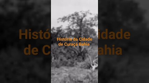 História da Cidade de Curaçá Bahia