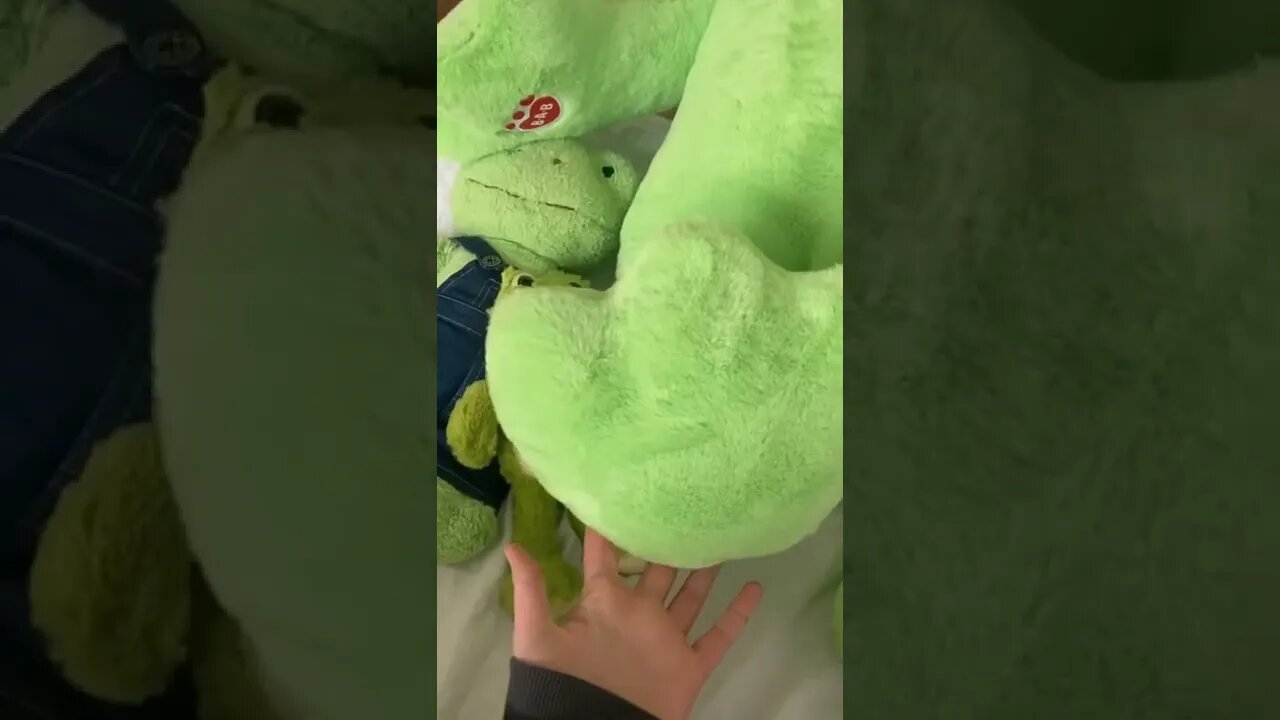 Building A Frog Tiktok tyoonie b