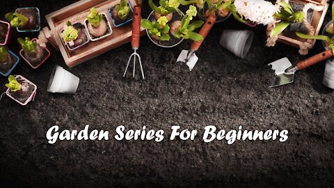 Garden Series for beginers