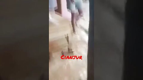 #short #Floods