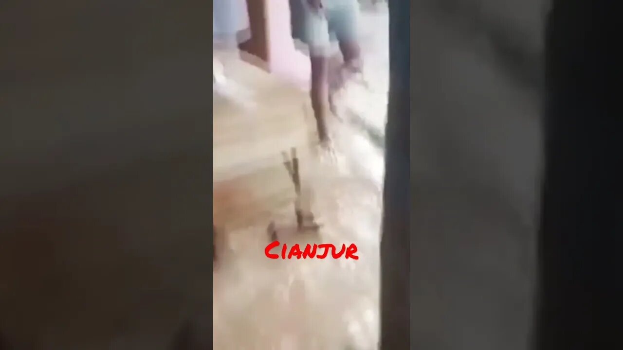 #short #Floods